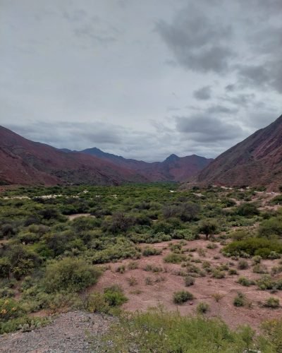 20250421_173929