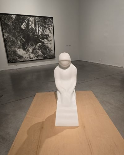 20250801_125159
