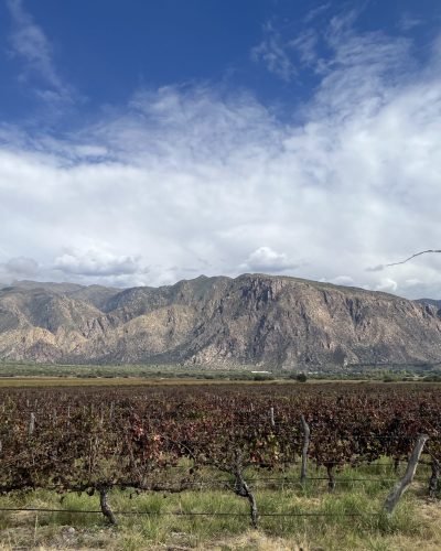 IMG_8366 cafayate