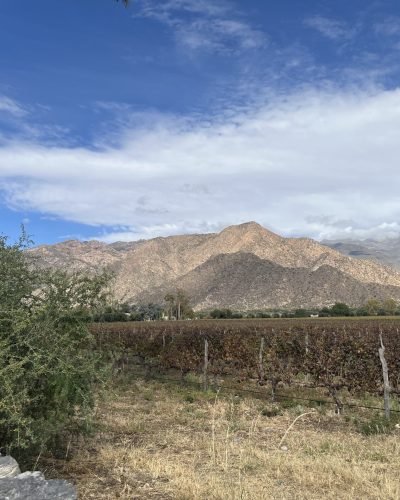 IMG_8367 cafayate